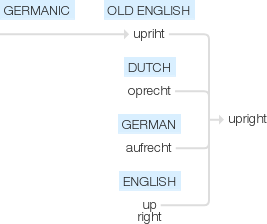 Ety img upright.png