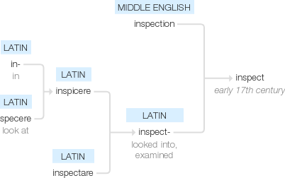 Ety img inspect.png