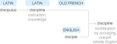 Ety img discipline.png