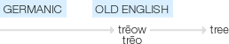 Ety img tree.png