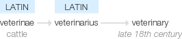 Ety img veterinarian.png