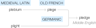 Ety img pledge.png