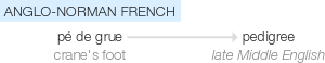 Ety img pedigree.png