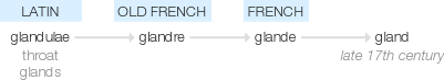 Ety img gland.png