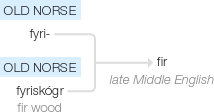 Ety img fir.png