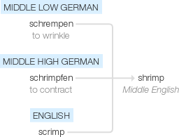 Ety img shrimp.png