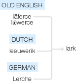 Ety img lark.png