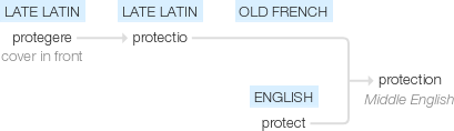 Ety img protection.png