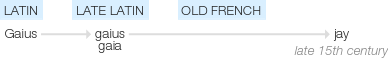 Ety img jay.png