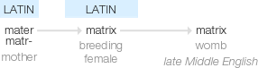 Ety img matrix.png