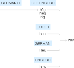 Ety img hay.png