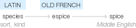 Ety img spice.png