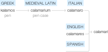 Ety img calamari.png