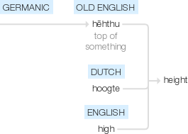 Ety img heights.png