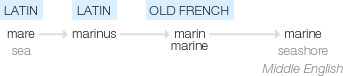 Ety img marine.png