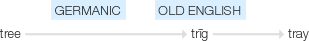 Ety img tray.png