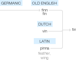 Ety img fins.png