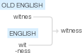 Ety img witness.png