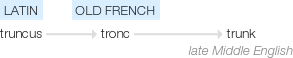Ety img trunk.png