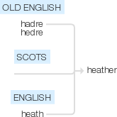 Ety img heather's.png