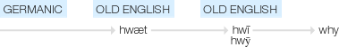 Ety img why.png