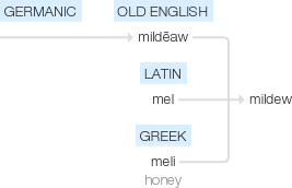 Ety img mildew.png