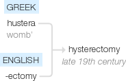 Ety img hysterectomy.png