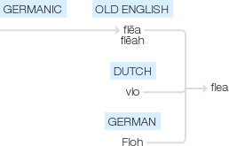 Ety img flea.png