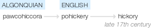 Ety img hickory.png