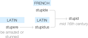 Ety img stupid.png