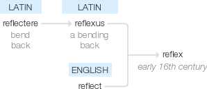Ety img reflex.png