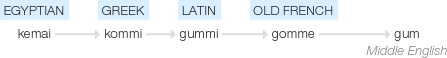 Ety img gum.png