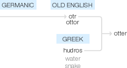 Ety img otter.png