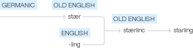 Ety img starling.png