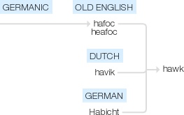 Ety img hawk.png
