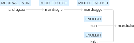 Ety img mandrake.png