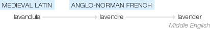Ety img lavender.png