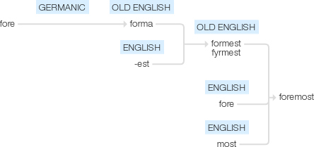 Ety img foremost.png