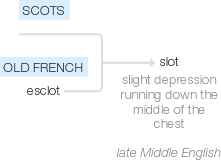 Ety img slot.png
