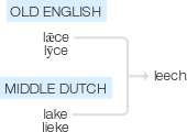 Ety img leech.png