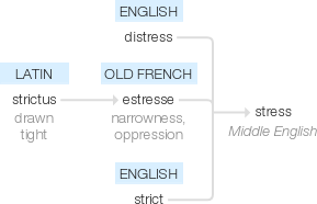 Ety img stress.png