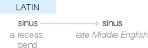 Ety img sinus.png