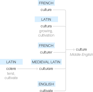 Ety img culture.png