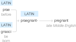 Ety img pregnancy.png