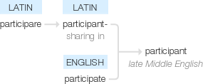 Ety img participant.png