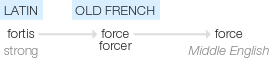 Ety img forces.png