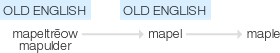 Ety img maple.png