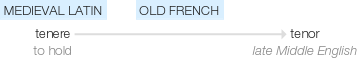 Ety img tenor.png