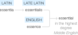 Ety img essential.png
