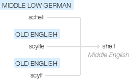 Ety img shelf.png